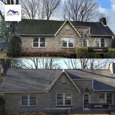 Roof Moss Removal 0