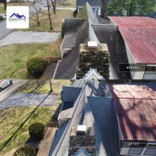 Roof Moss Removal 1